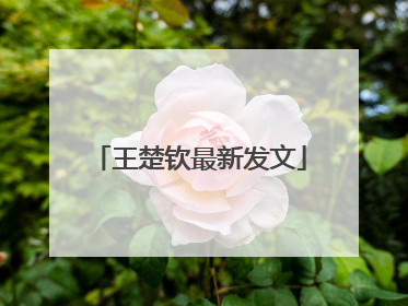 王楚钦最新发文